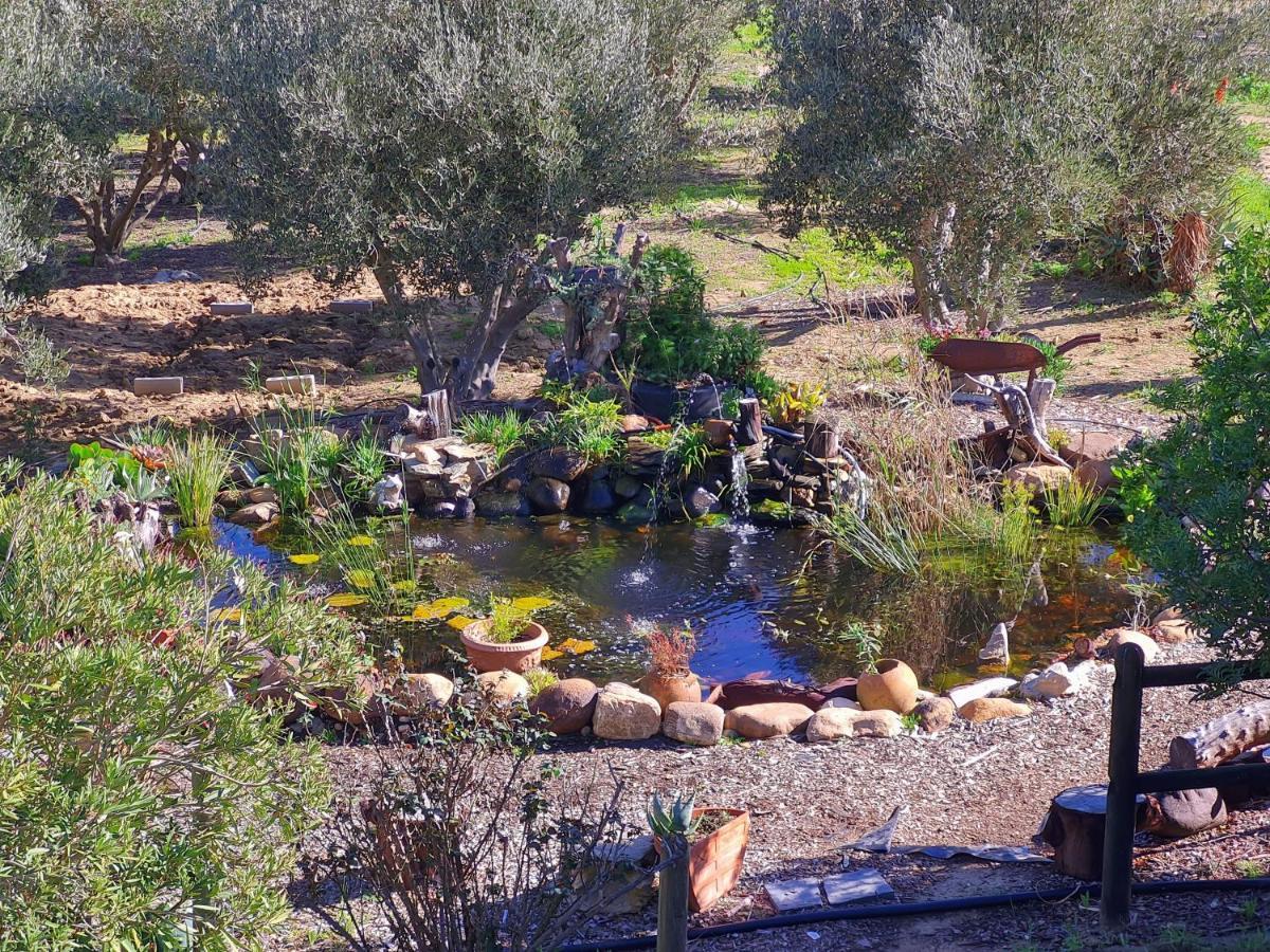 Villa Tarentaal Tulbagh Dış mekan fotoğraf